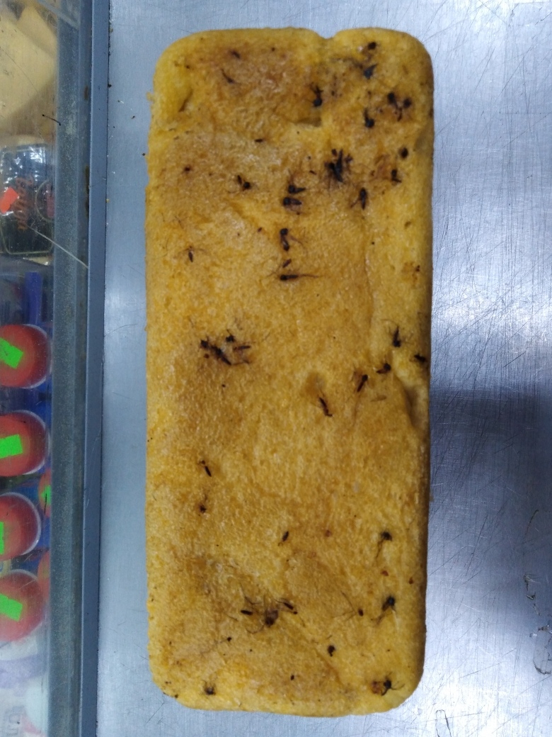 В Коми поселке продают хлеб из комаров (фото)