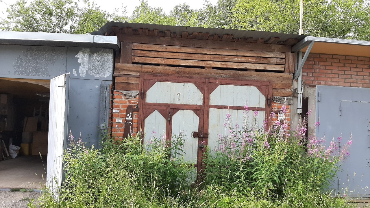 В Сыктывкаре кошку бросили умирать голодной смертью в запертом гараже (фото, видео)