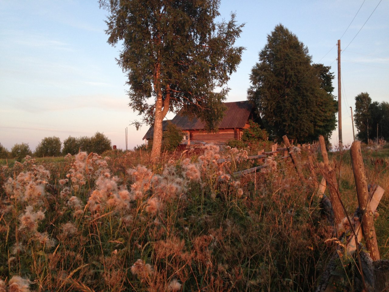 Синоптики рассказали, ждать ли жителям Коми солнце в эти выходные