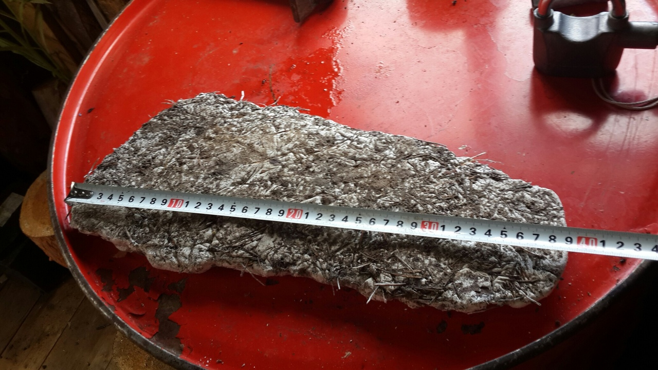 В Коми нашли загадочные гигантские следы (фото)