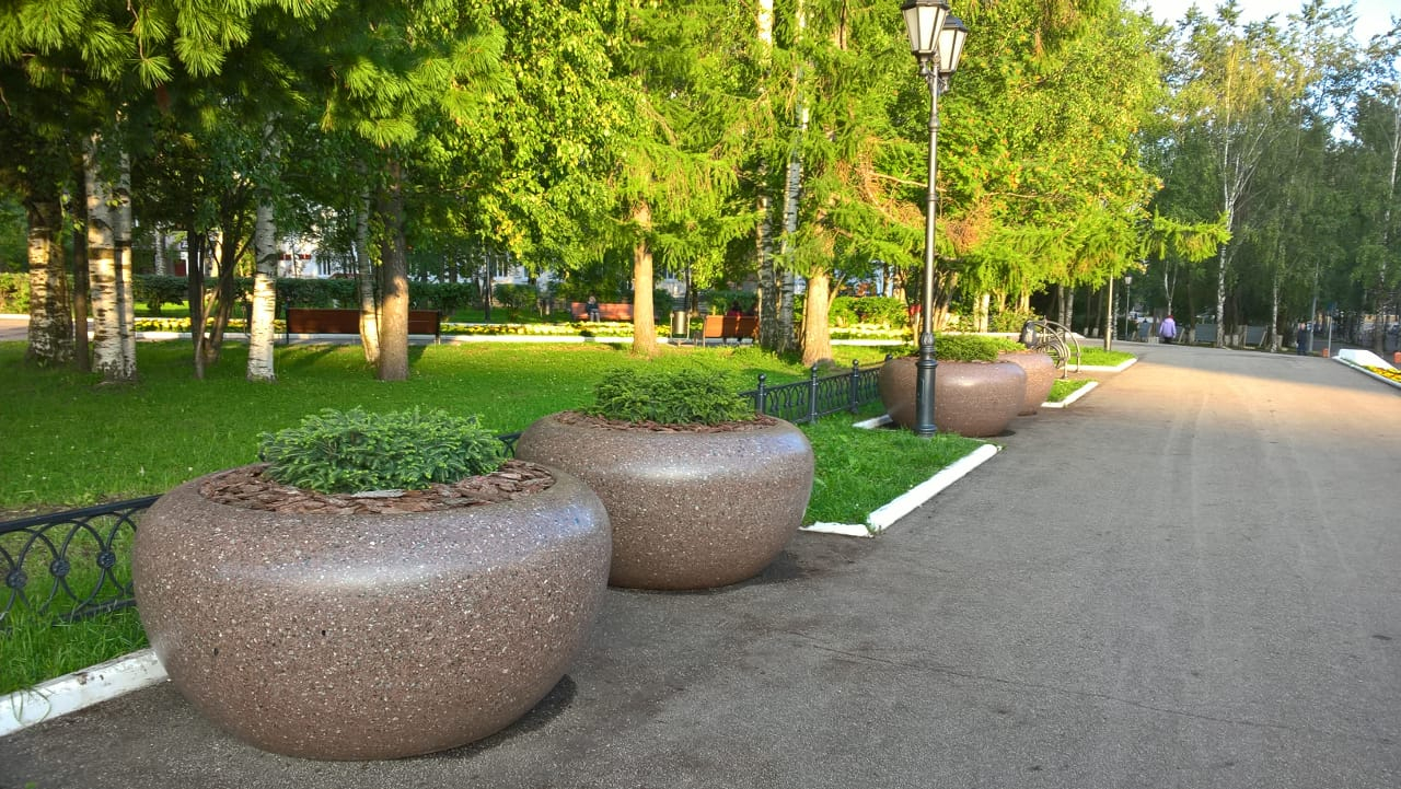 В гигантских «мисках» на площади Сыктывкара появились необычные растения (фото)