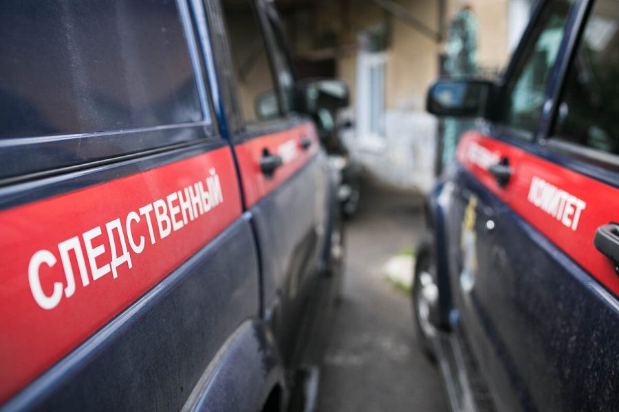 По факту гибели девочки, которую загрыз волк в Коми, возбудили уголовное дело