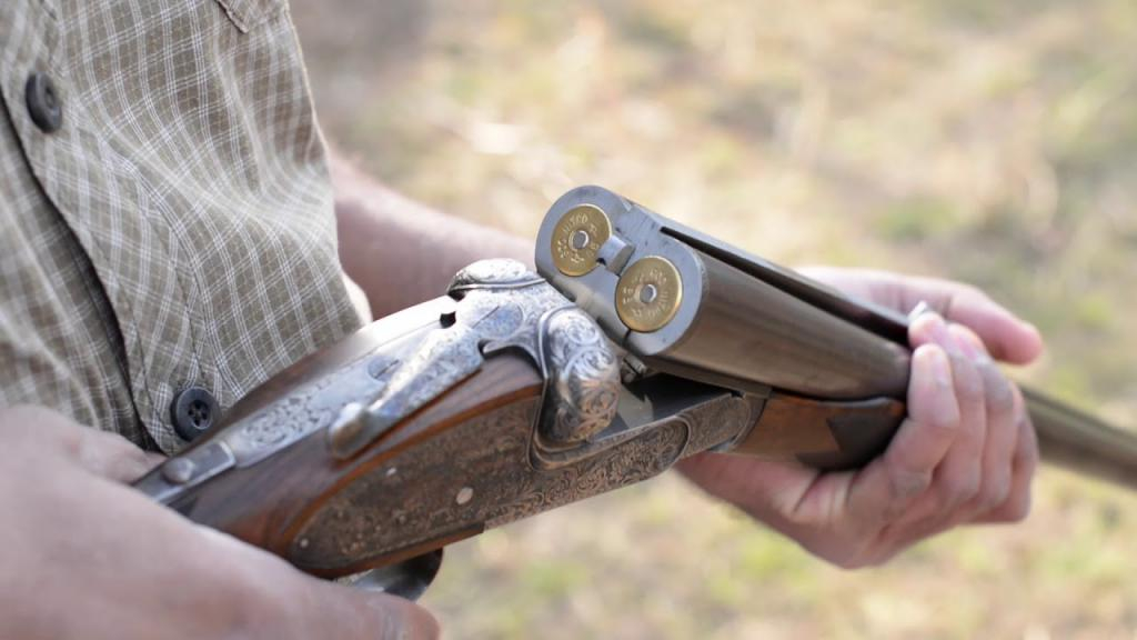 «Это был не волк»: в охотобществе рассказали, кто на самом деле загрыз девочку в Коми