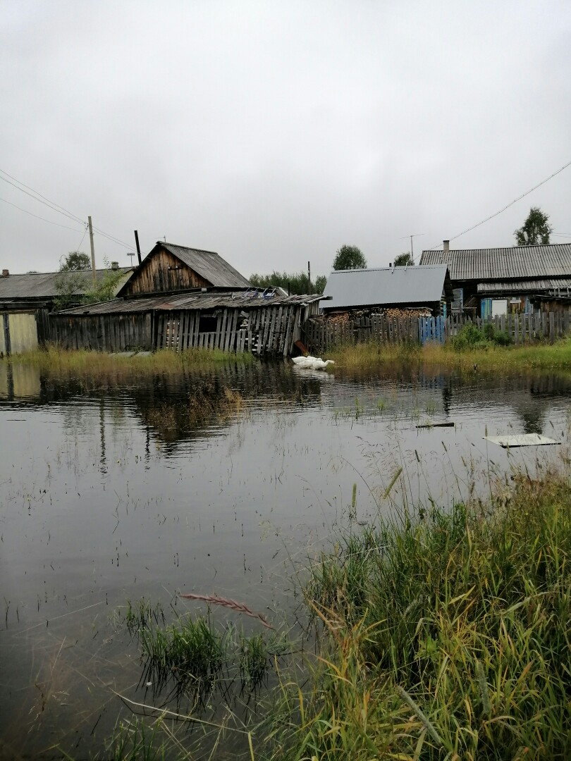 В одном из районов Коми тонут дома (фото)