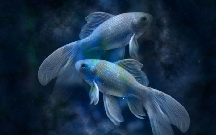 Гороскоп на 15 августа: Рыбам пора начать важное дело, а Овнам - не быть эгоистами