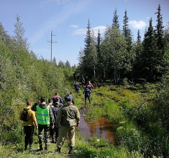 В Коми всем селом разыскивают 86-летнюю бабушку, которая ушла в лес