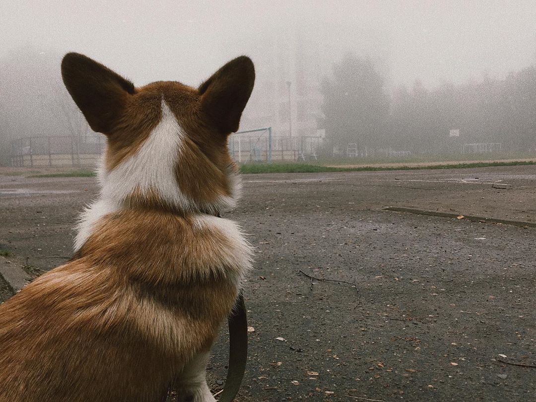 Сыктывкар утонул в тумане: 9 таинственных фотографий из Instagram
