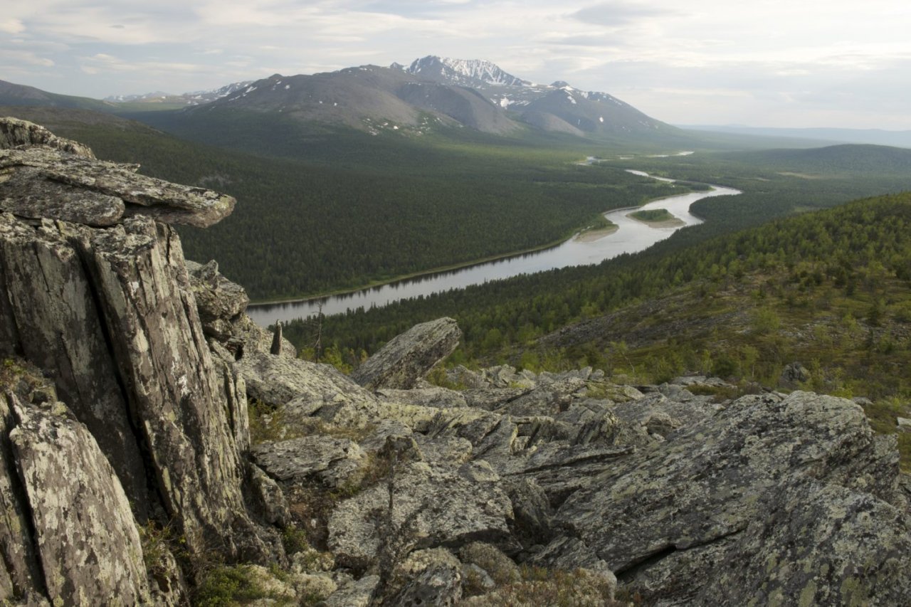Greenpeace бьет тревогу: в национальном парке Коми собираются добывать золото