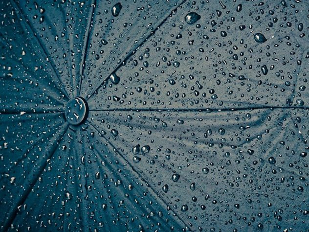 Погода в Сыктывкаре на 25 августа: похолодание, дождь и северный ветер