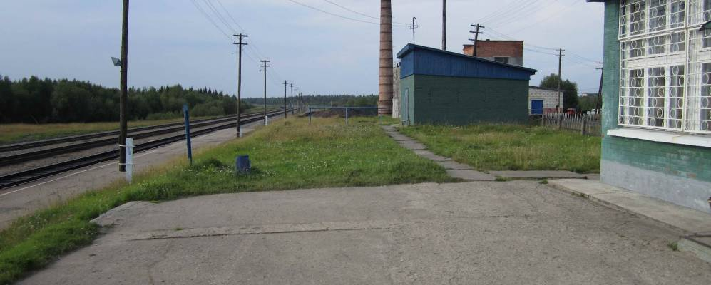 Следователи выдвинули основную версию гибели девочки, которую загрыз дикий зверь в Коми