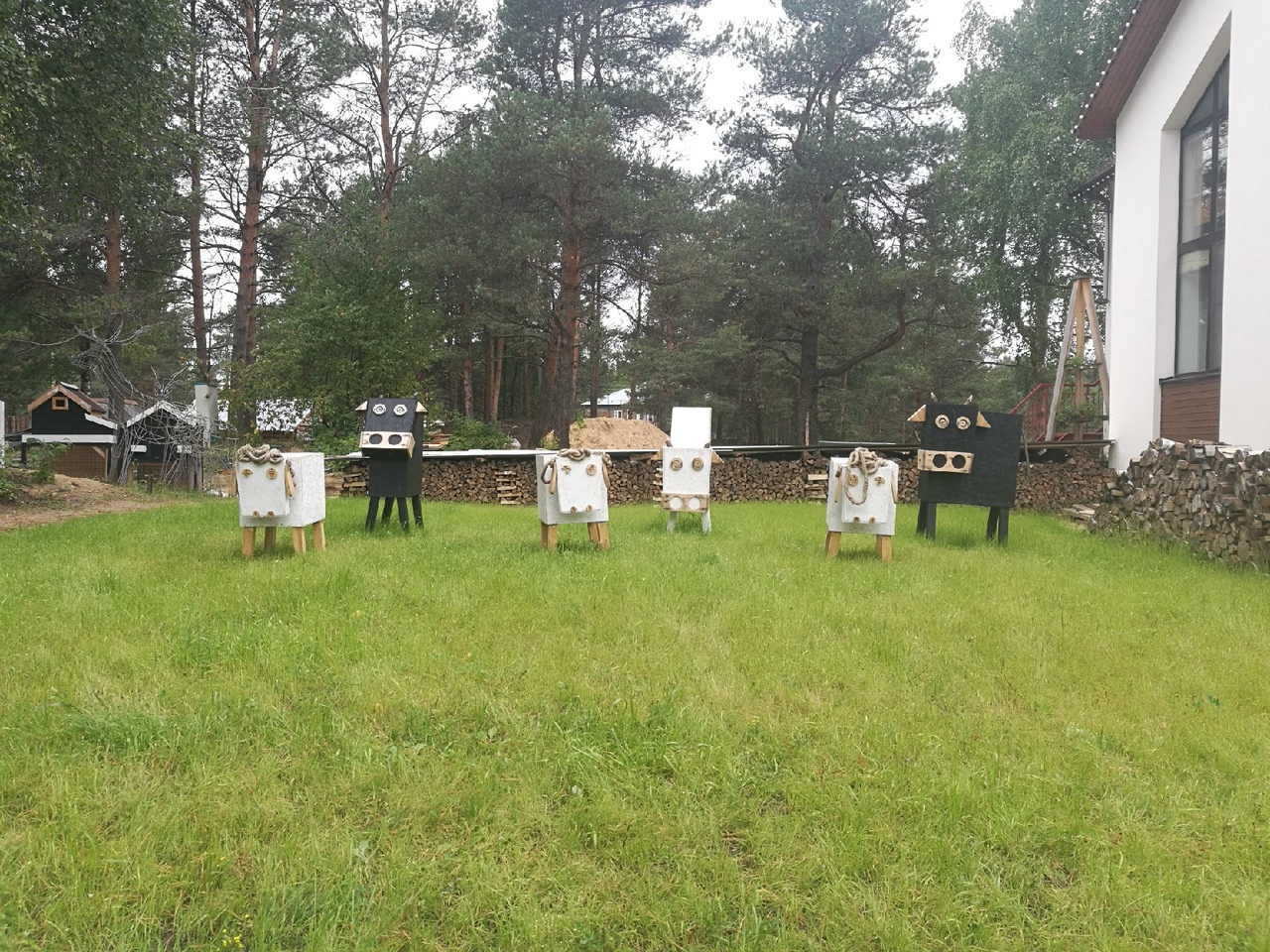 Фото дня в Сыктывкаре: стадо деревянных коров на зеленой поляне