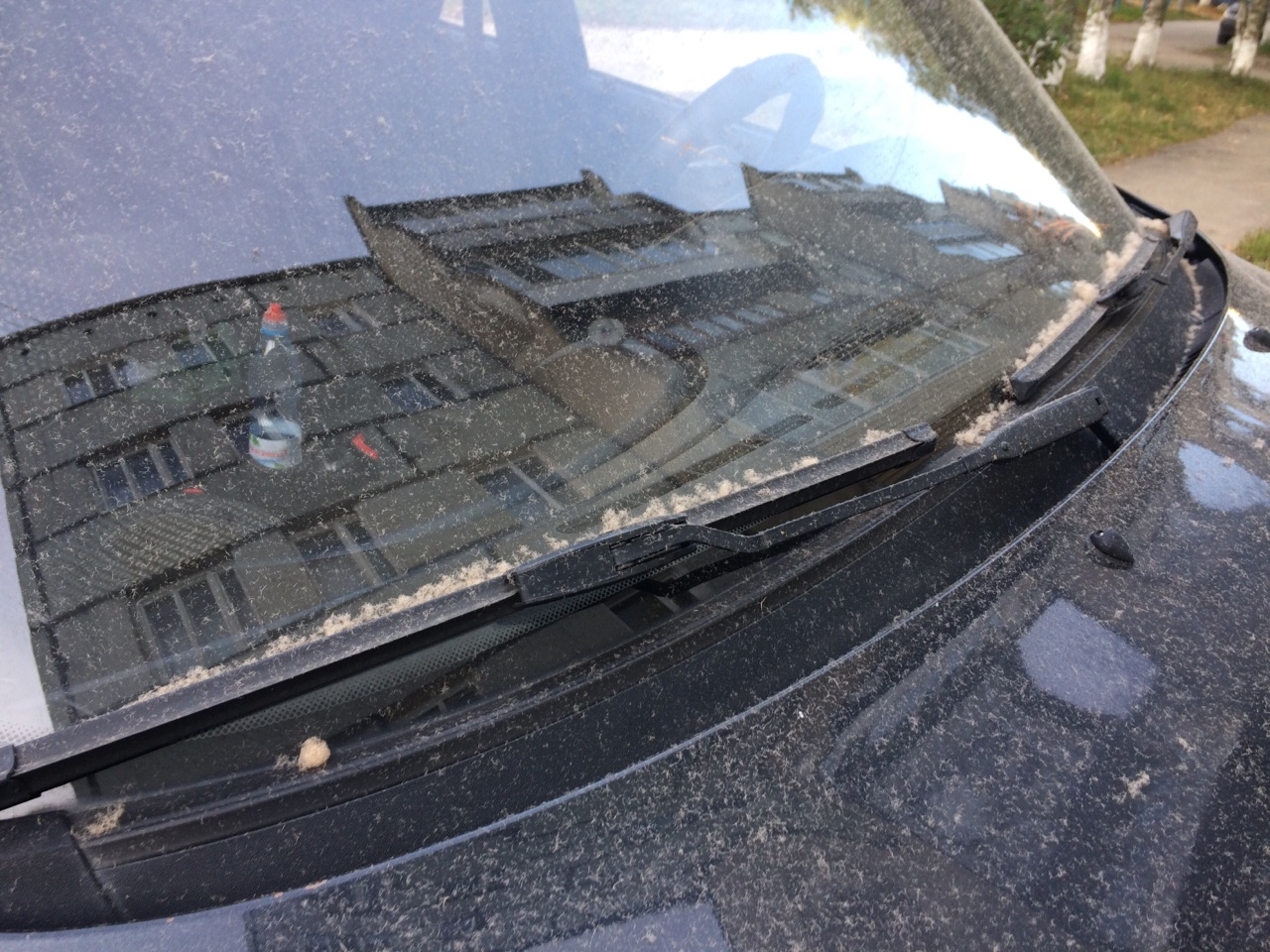 В Коми целый поселок накрыла странная пыль с завода (фото)