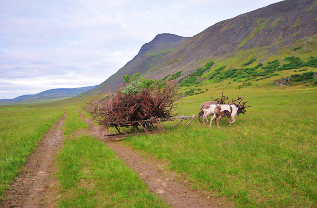 Мифические зэки, безлюдные пустоши и бегуны с пистолетами: десять секретов Коми, о которых не знают в России