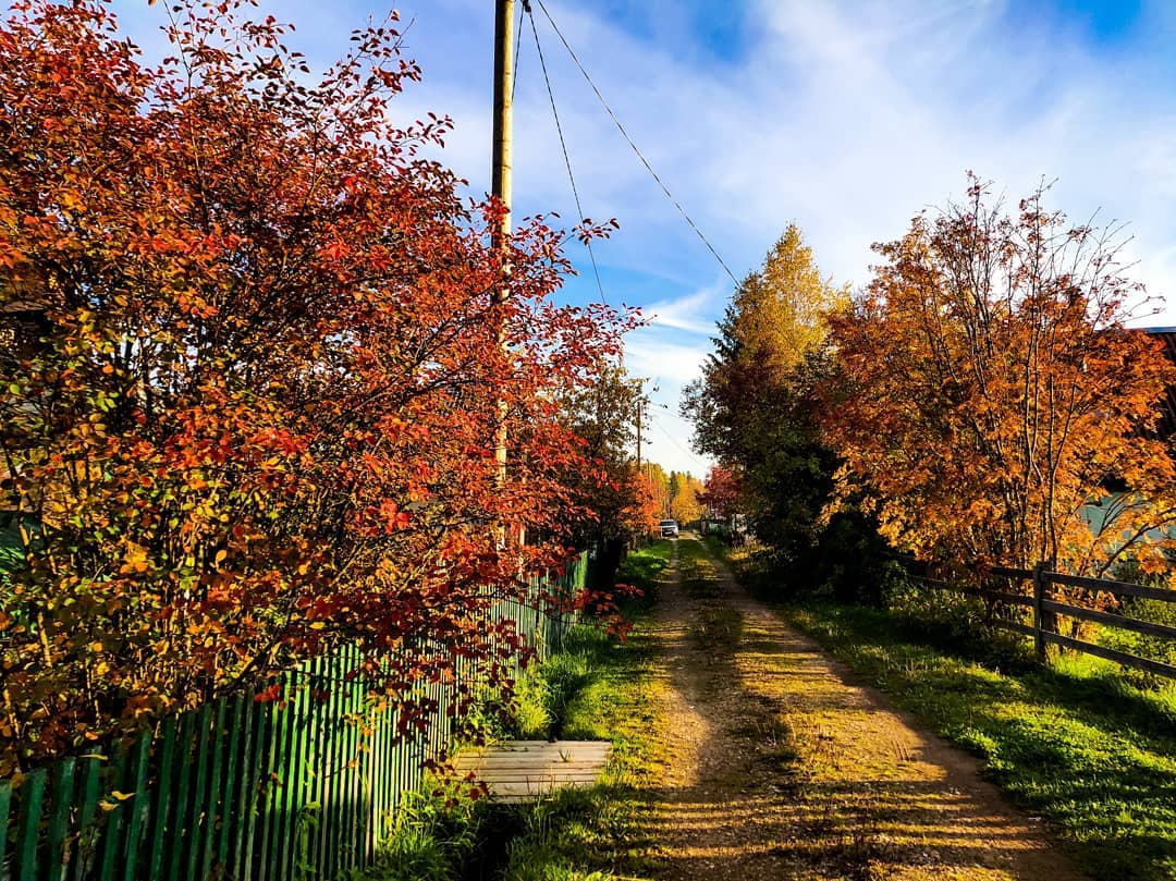 Фото дня в Сыктывкаре: осень, сентябрь и яркие краски