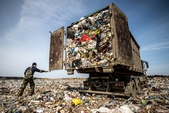 «То, что лес очистили — молодцы, ну а дальше-то что?»: куда девается собранный мусор