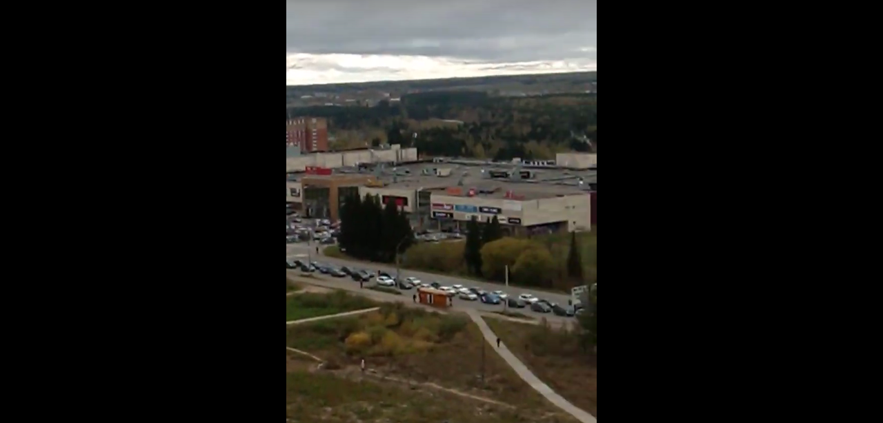 В Сыктывкаре из-за стада коров «встал» Октябрьский проспект (видео)