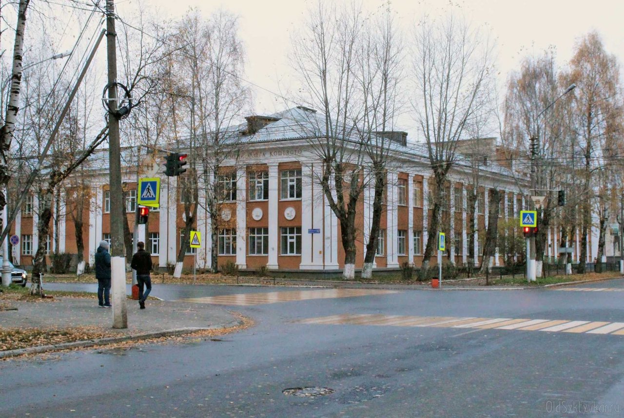 В Сыктывкаре под колеса «Ауди» попал школьник