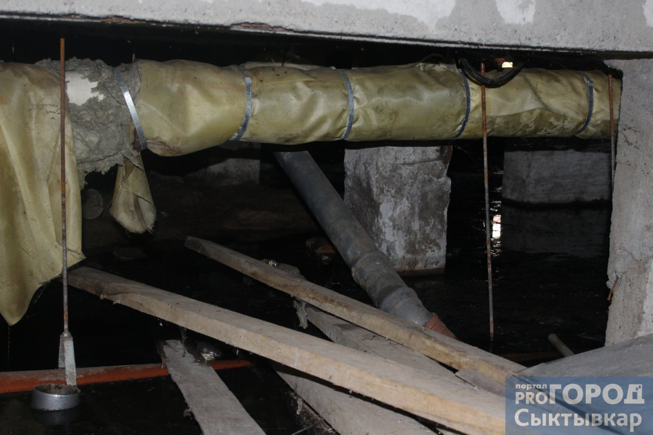 «По кухне ползали слизни»: сыктывкарка рассказала про ужасный дом, где не прекращается потоп (фото)