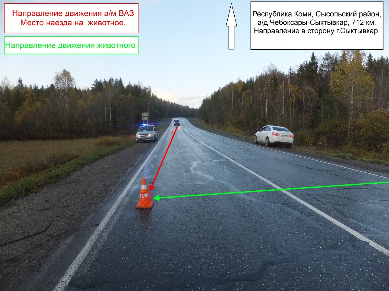 В Коми пенсионер на «семерке» влетел в лося