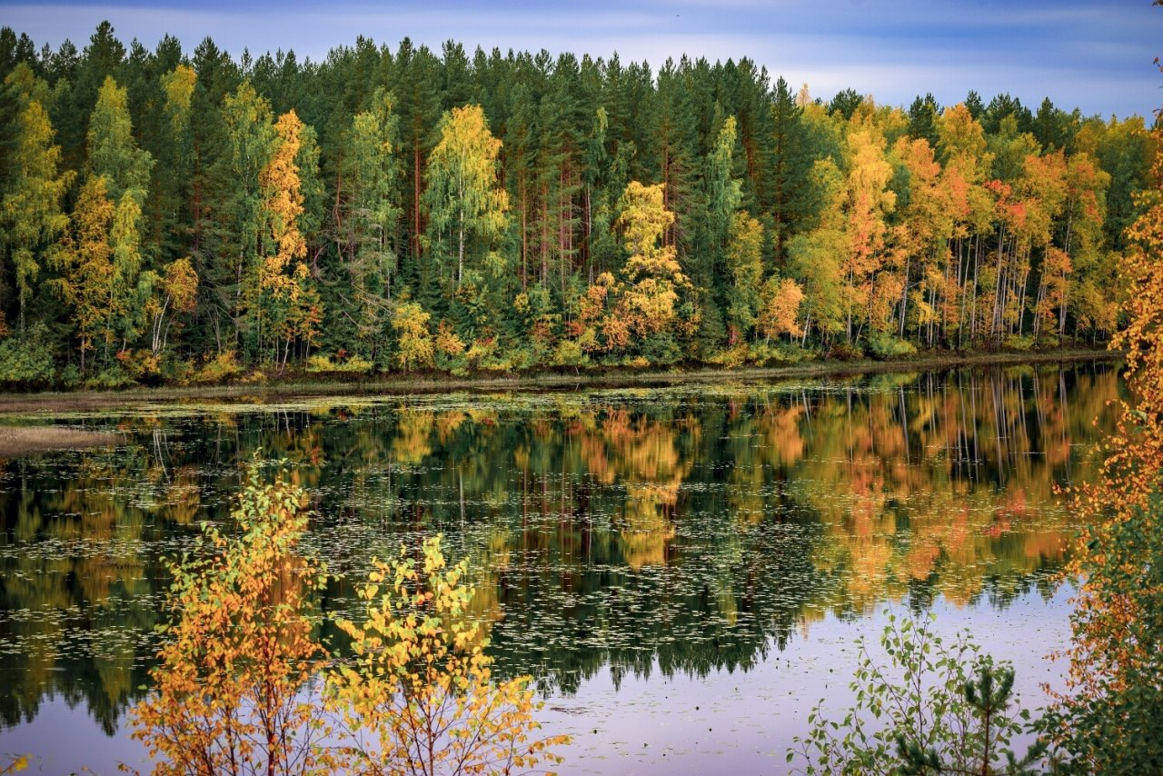 Погода в Сыктывкаре на 30 сентября: плюсовая температура и дождь