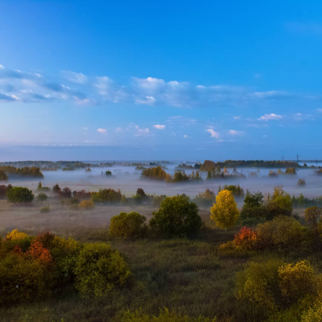 Фото дня в Сыктывкаре: поля тонут в дымке утреннего тумана