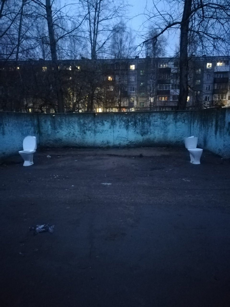 Фото дня: два унитаза вместо мусорных контейнеров в Сыктывкаре