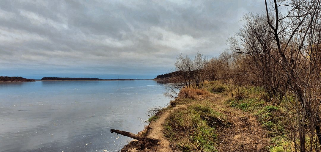 Фото дня от сыктывкарца: сонная река под пасмурным небом