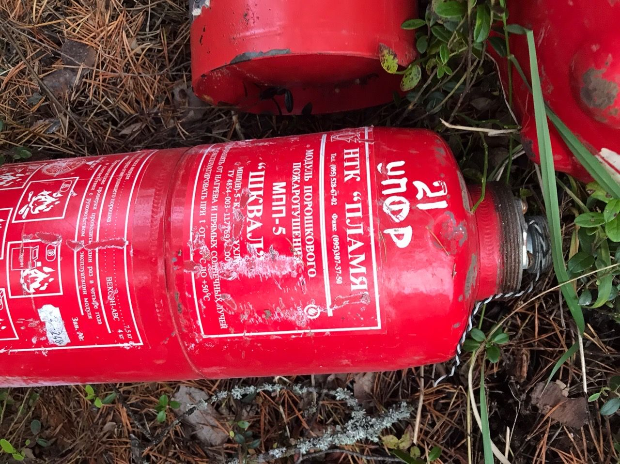 В лесу Коми нашли свалку огнетушителей из пенсионного фонда (фото)