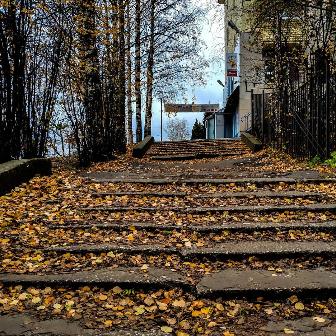 Фото дня в Сыктывкаре: мрачное очарование природы в северном городе