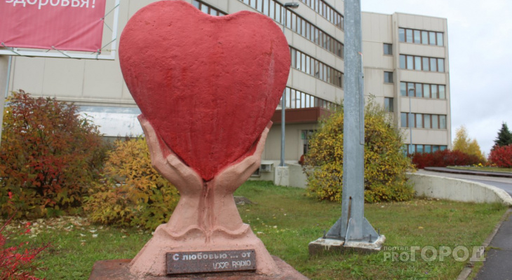 «В роддоме вспышка ветрянки»: сыктывкарцев напугали слухи об эпидемии