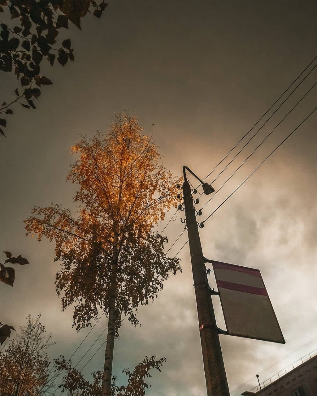 Фото дня в Сыктывкаре: луч солнца в суровом октябрьском небе