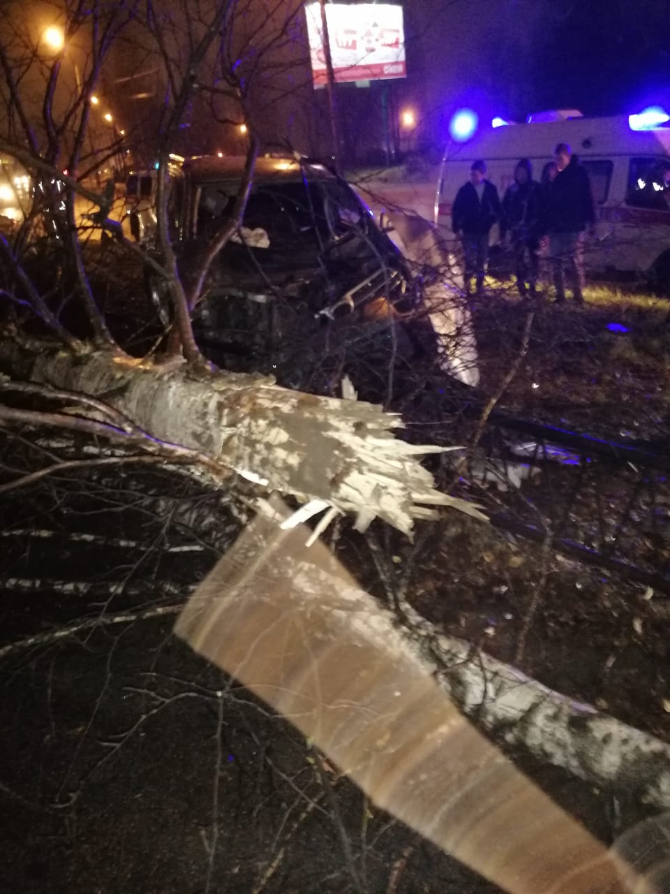 В Сыктывкаре иномарка вылетела на обочину и снесла дерево (фото)