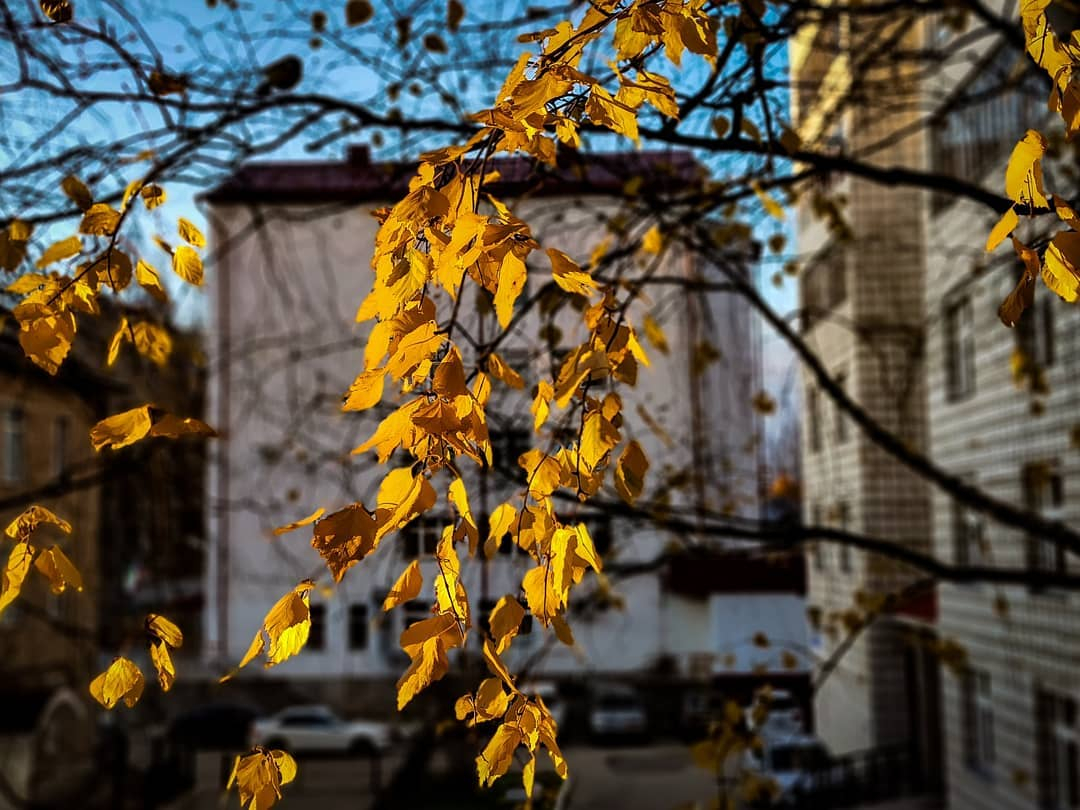 Фото дня в Сыктывкаре: свет выхватывает яркие краски из серости будней