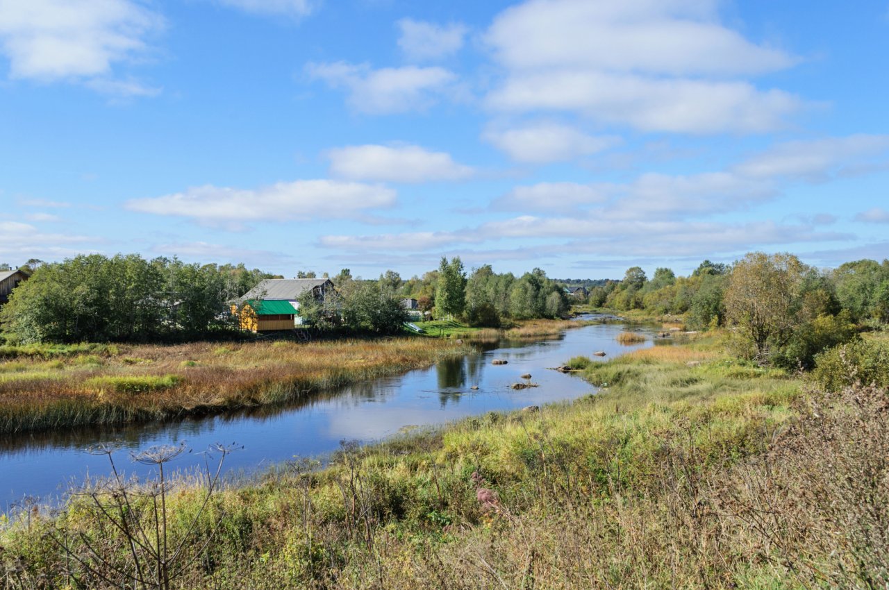Житель Коми решил, что его знакомый умер, и утопил мужчину в реке