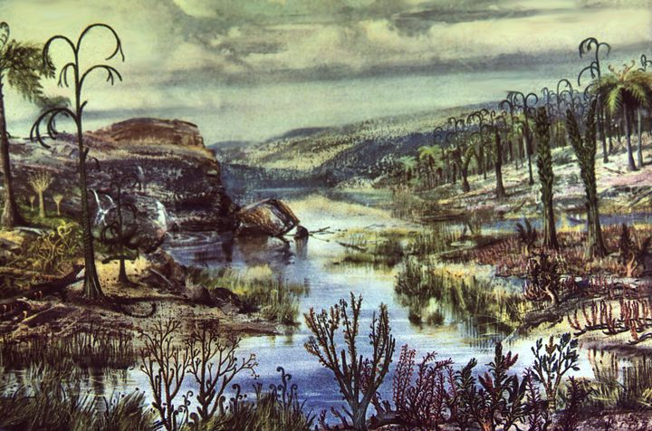 В Коми нашли древнего крокодила, который был предком человека