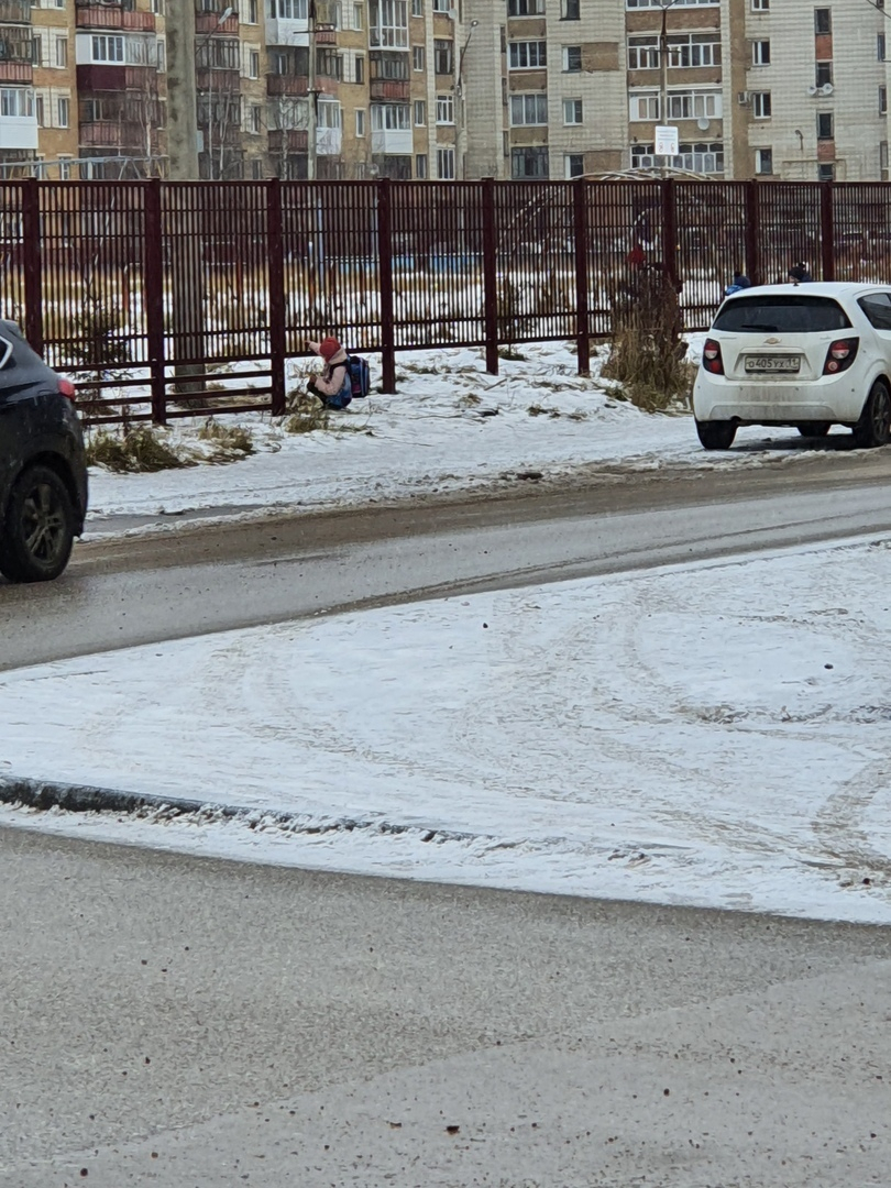 Нет калитки: в Коми дети ползут в школу под забором (фото)