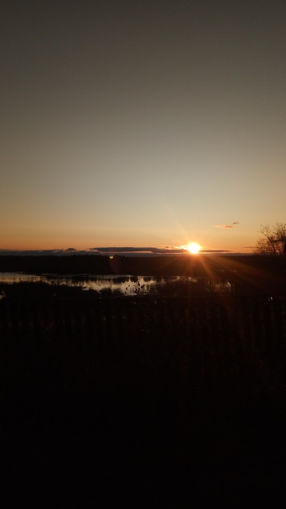 Погода в Сыктывкаре 29 октября: холодный ветер, пора теплее одеваться