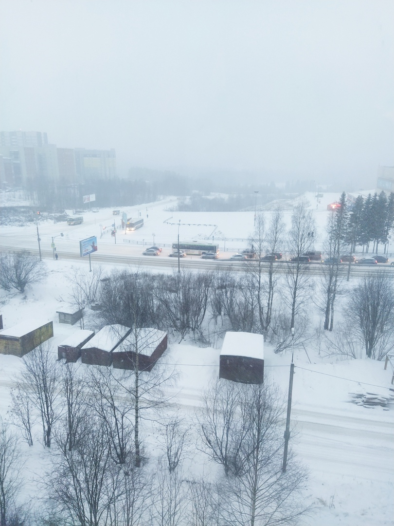 Когда закончится снегопад в Сыктывкаре: мнение синоптиков