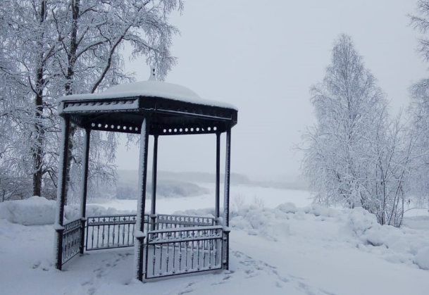 В Сыктывкаре появится место для кормления грудью на улице