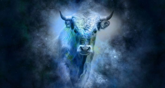 Гороскоп на 8 ноября: Овнам стоит выспаться, а Водолеям - подготовиться к приятной встрече