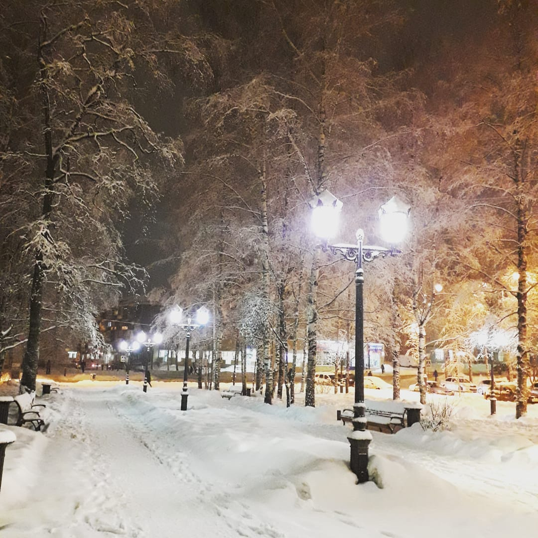 Фото дня в Сыктывкаре: заснеженные тропинки зимнего парка