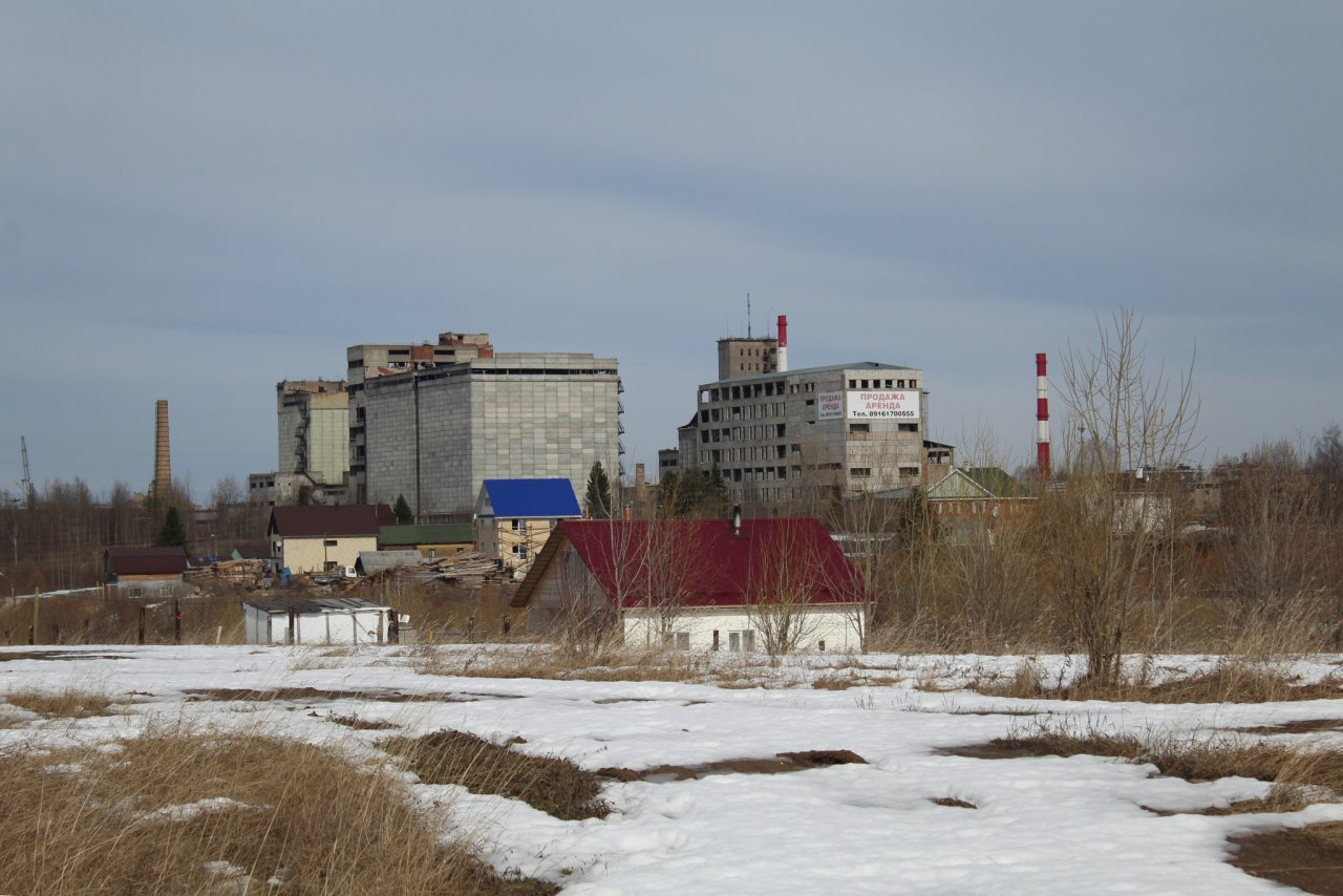 Бесплатное межевание-2019:  кто подпадает под действие нового закона