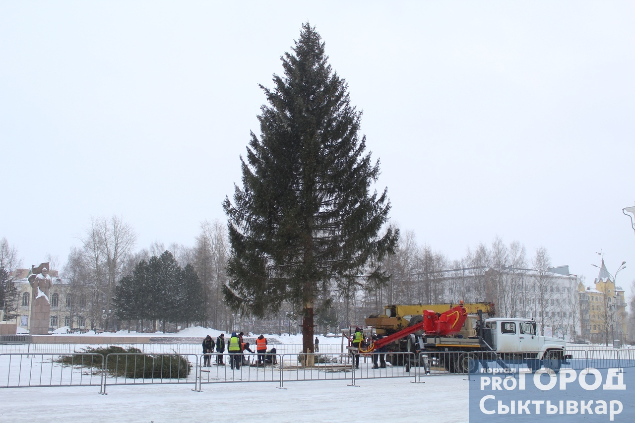 В Сыктывкаре устанавливают главный символ Нового года (фото)