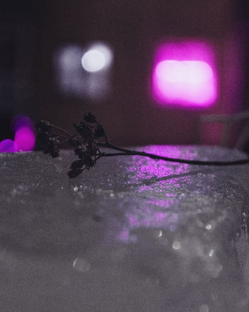 Фото дня в Сыктывкаре: вечерний город в неоновом свете