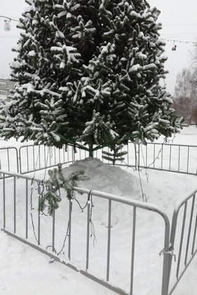 В Сыктывкаре неизвестные разорили новогоднюю елку