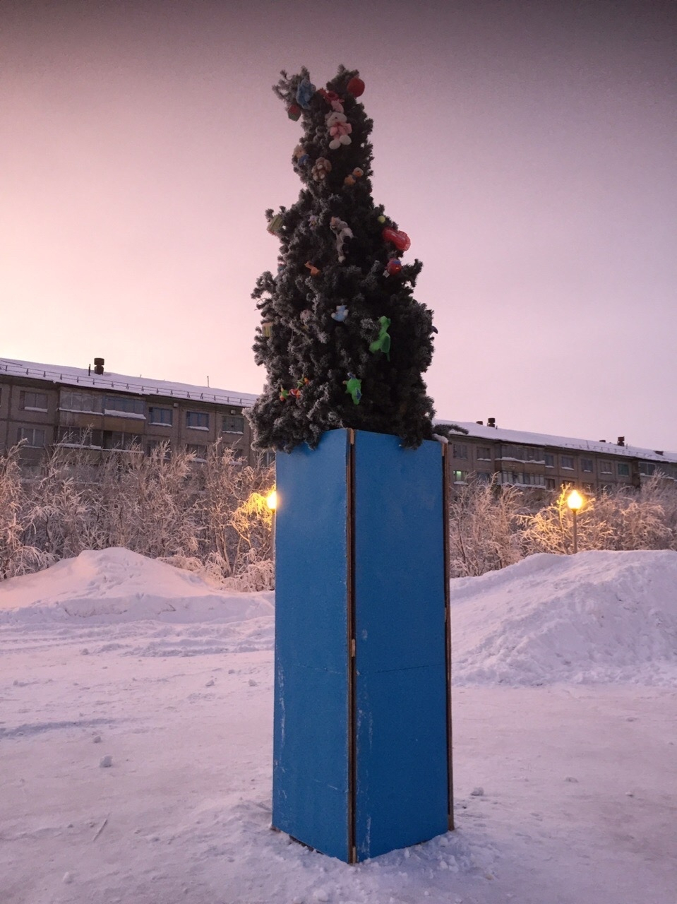 Уродливую елку из Коми показали на «Первом канале» (видео)