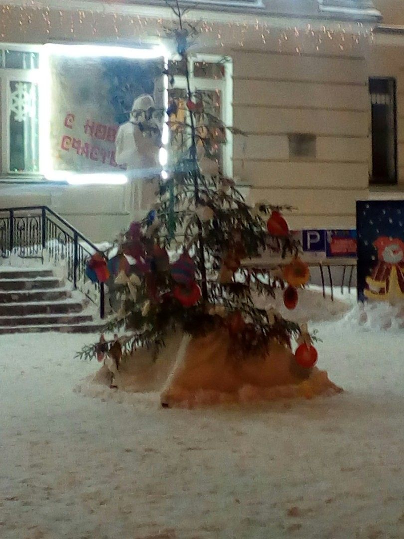 После уродливой елки в Воркуте горожане нашли страшные деревья в Сыктывкаре (фото)