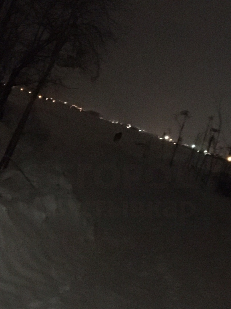 «По ночам здесь лучше не ходить»: сыктывкарцев держит в страхе загадочный зверь