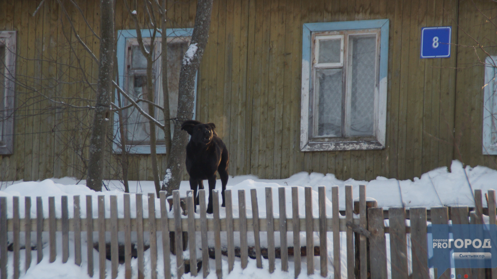 В Коми накануне Нового года погибли три брата