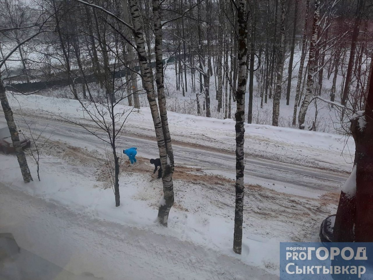 Фото дня: сыктывкарки с лопатами в руках делают работу за коммунальщиков
